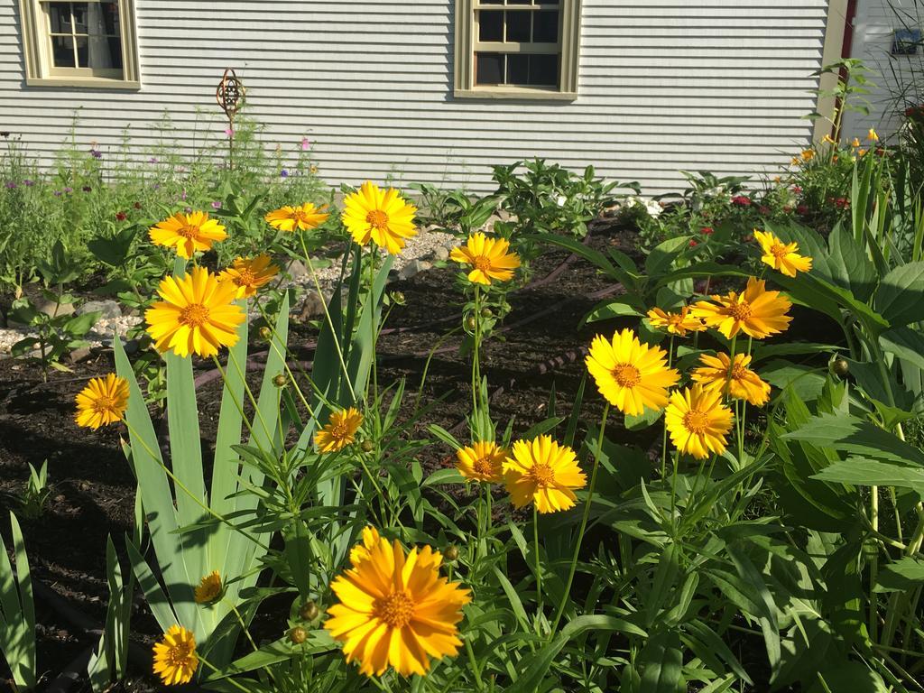 Black Boar Inn Ogunquit Luaran gambar
