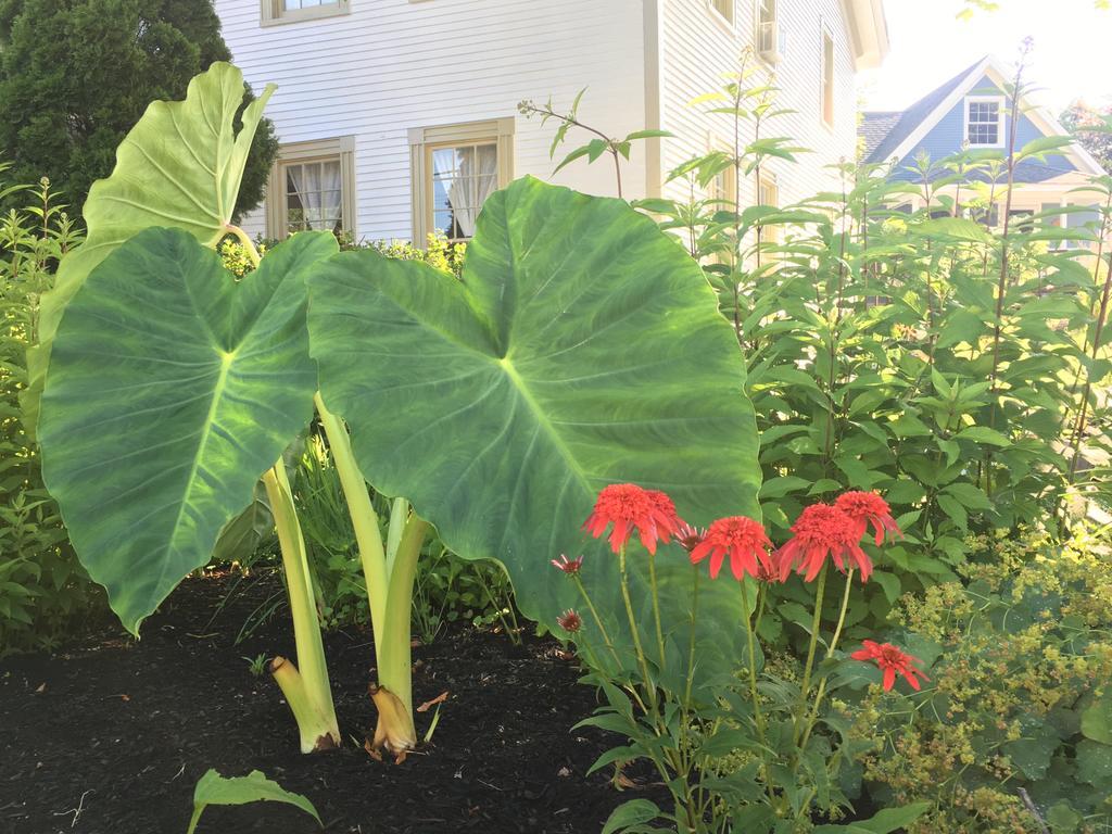 Black Boar Inn Ogunquit Luaran gambar